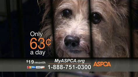 Who narrates the aspca commercial 2023 - The Farmer’s Dog is a heartwarming commercial with the tagline, “Nothing matters more than more years together.“. Undoubtedly, this was the public’s favorite Super Bowl 2023 ad. The Farmer’s Dog commercial. 2. T-Mobile – The commercial features John Travolta, Zach Braff, and Donald Faison.